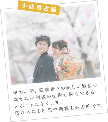 小諸懐古園　桜の名所。四季折々の美しい城景のなかに小諸城の面影が堪能できるスポットになります。桜以外にも紅葉や新緑も魅力的です。