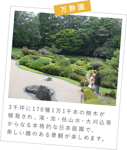 万酔園　3千坪に170種1万1千本の樹木が植栽され、滝・池・枯山水・大刈込等からなる本格的な日本庭園で、美しい趣のある景観が楽しめます。