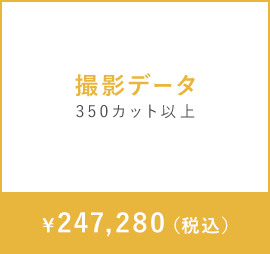 撮影データ　350カット以上　￥247,280（税込）