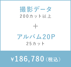 撮影データ　200カット以上+アルバム20P　25カット　￥181,280（税込）