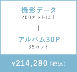 撮影データ　200カット以上+アルバム30P　35カット　￥181,280（税込）