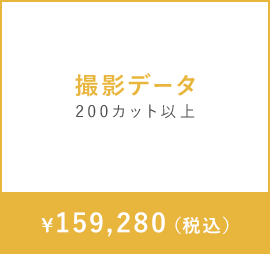 撮影データ　200カット以上　￥159,280（税込）