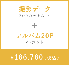 撮影データ　200カット以上+アルバム20P　25カット　￥181,280（税込）